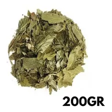 Matico 200gr Hierba Infusion