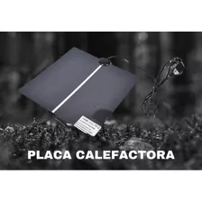 Placa Calefactora 14w Regulador Temperatura