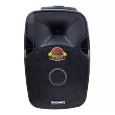 Monitor De Palco Ecopower Ep-s700 Portátil Com Bluetooth Waterproof Preto 110v/220v 