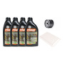 Filtro De Aceite Para Suzuki Ax-4 Gz150 Gn125 Vort-x 200