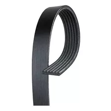 Gates K060956 Cinturón Multi V-groove