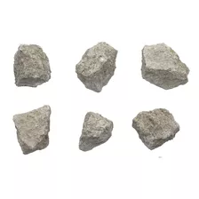 Paquete De 6 Piedras Calizas Fósiles Crudas, Muestras ...