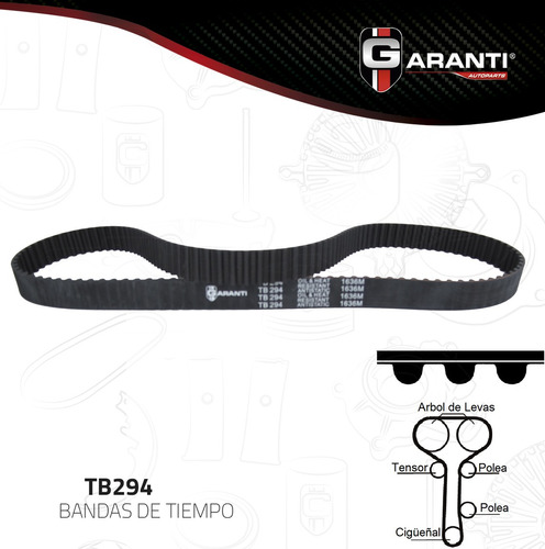 Banda Tiempo Distribucion Ford Focus 2.0 Dohc 2001 Foto 3