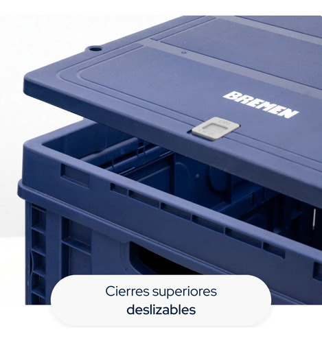 Cajon Plegable Con Tapa Bremen 56x40x36 Cm 30kg/62l 8637 Dgm Azul