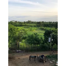 Vendo Esta Mega Finca Ganadera Y Agrícola En Monte Plata