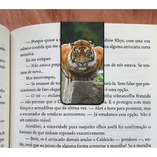 Marca Pagina Magnético Tigre