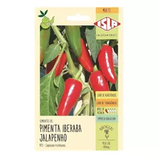 Pimenta Iberaba Jalapenho - 800mg/ 130 Sementes Aproximado