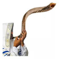 Kosher Jewish Kudu Instrumento De Cuerno Soplado Shofar De .