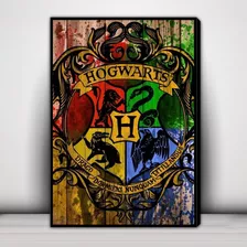 Cuadro Decorativo Harry Potter F426