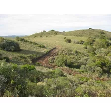 Campo De 36,3 Hectareas En Sierra Carape, Ruta 12