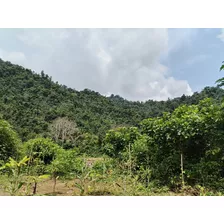 Se Vende Terreno 27,6 Ha De Oportunidad En Sector Carlos Concha, Esmeraldas