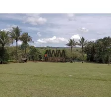 Fazenda À Venda Em Taguatinga Df, 84 Hectares, Asfalto Na Porta, Represas, Lago, Casa, Curral 