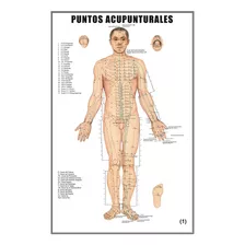 Póster Localización De Puntos De Acupuntura (juego De 3)