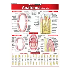 Livro Anatomia Dentária