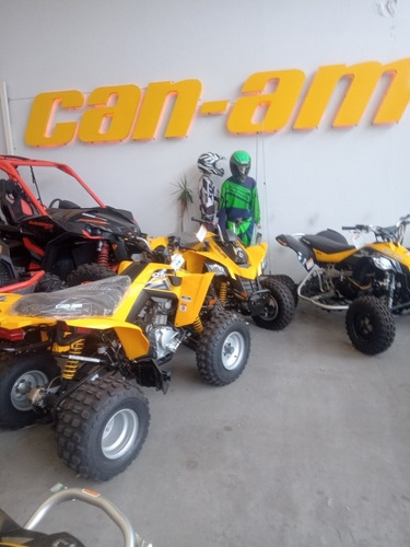 Can Am Ds 250