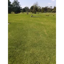 Vendo Lote Doble Jardines De Paz