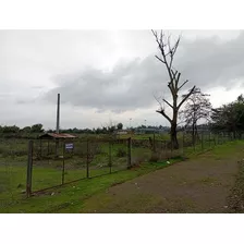 Industrial En Venta En Talca