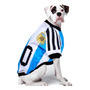 Segunda imagen para búsqueda de camiseta argentina para perros
