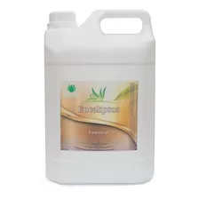 Essência Eucalipto Para Sauna Seca, Vapor 5000 Ml