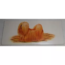 Álbum Chocolate Surpresa Cães De Raça Figurinh 27 Lhasa Apso