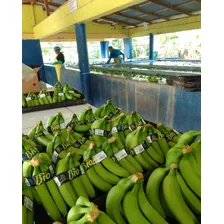 Te Vendo Tremenda Finca Ubicada En Guayubin En El Cibao.