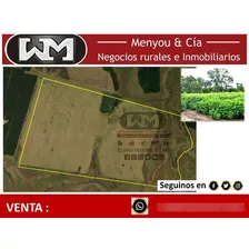 Venta Campo Rió Negro 73 Hectáreas 80% Agrícola Coneat 166