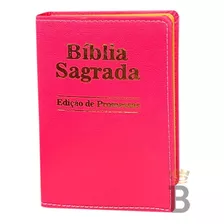 Bíblia Sagrada Pequena Luxo Pink 9x13cm / C