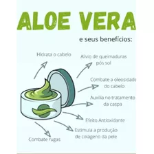 Babosa Ou Aloe E Vera,350 Gramas Promoção 