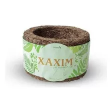Xaxim De Palmeira Pequeno - Biogreen