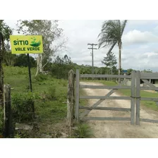 Fazenda Com Área Total De 49,7 Hectares (20,5 Alqueires)