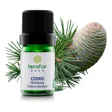 Cedro Himalaya Óleo Essencial Cedrus Deodara Terraflor 5ml