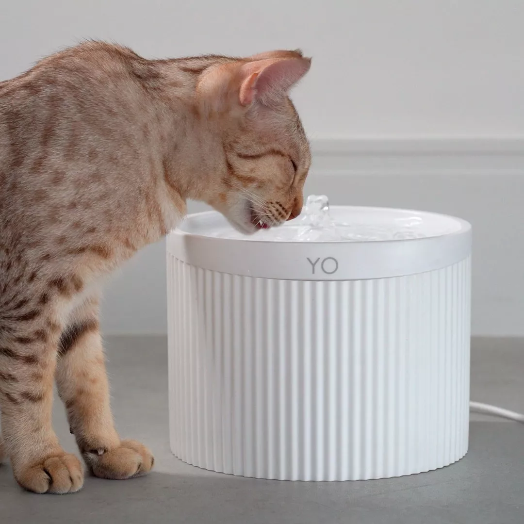 Bebedouro E Fonte De Água Automática Para Gatos Com Design