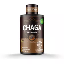 Extracto De Hongo Chaga 100% Auténtico