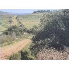 Venta De Campo En Tacuarembó, Uruguay. Con Renta.