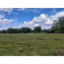 Vendo Finca En Bayaguana De 4,995 Tareas Tiene Mucha Agua Le Bordea El Rio Yavacao Incluye 200 Cabezas De Ganado