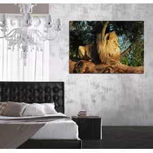 Vinilo Decorativo 60x90cm Leon Animal Naturaleza