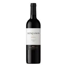 Vino Benjamin Malbec Nieto Senetiner 750ml