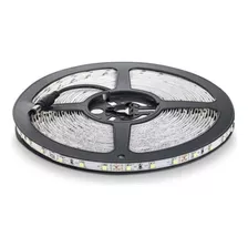 Cinta Luces Led Luz Fría Tira 5 Mts + Transformador Rgb 3528