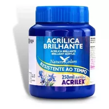 Tinta Acrílica Brilhante Acrilex 250ml 501 Azul Turquesa
