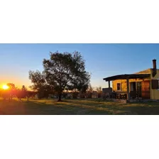 Cómodas Casas De Campo En Los Pinos, Fomento, Colonia. 