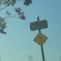 Terceira imagem para pesquisa de vendo urgente terreno itanhaem