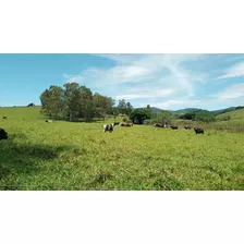 Venda/permuta De Áreas P/ Chácaras E Sítios Sul Mg, Local Privilegiado Terra Fértil Natureza Exuberante,200 Km Sp Capital, 350 Km De Bh E 400 Km De Rj Capital,5 Km Da Br 381(sp-bh)