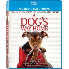 Blu-ray + Dvd A Dog´s Way Home / Mis Huellas A Casa
