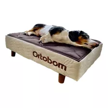 Base Para Pet Camurça Bege (13x80x60) - Ortobom