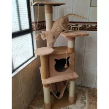 Gimnasio Rascador Grande Para Gato + Juguete. Envío Gratis 