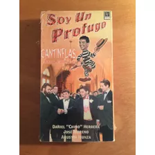 Cantinflas Soy Un Profugo Pelicula Vhs