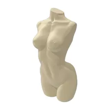 Torso Corpo Feminino Mulher Decoração 20cm