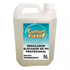 Regulador Elevador Ph Mas Liquido Profesional X 5l - Pileta 