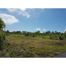 Vendo Lotes No Bairro Jabaquara De 360m2 Escriturados De 150 A 300 Mts Da Praia