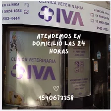 Veterinario A Domicilio Las 24 Horas!